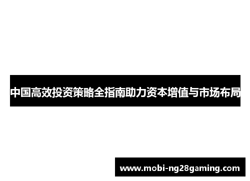 中国高效投资策略全指南助力资本增值与市场布局