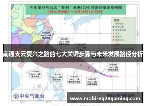 南通支云复兴之路的七大关键步骤与未来发展路径分析
