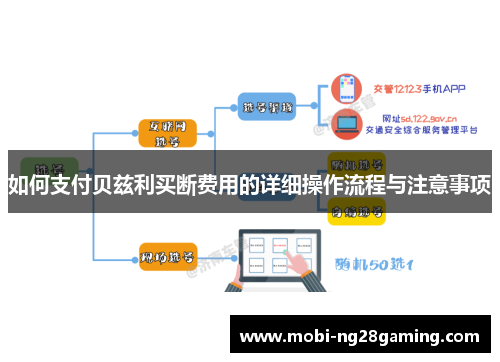 如何支付贝兹利买断费用的详细操作流程与注意事项