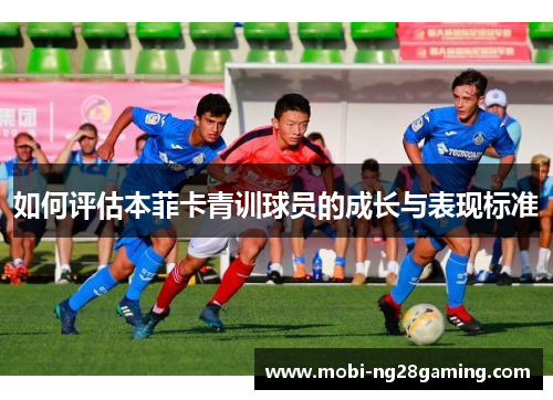 如何评估本菲卡青训球员的成长与表现标准