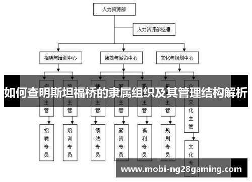 如何查明斯坦福桥的隶属组织及其管理结构解析