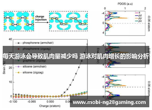 每天游泳会导致肌肉量减少吗 游泳对肌肉增长的影响分析