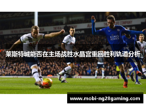 莱斯特城能否在主场战胜水晶宫重回胜利轨道分析 莱斯特城能否在主场战胜水晶宫重回胜利轨道分析