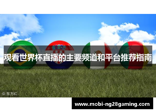 观看世界杯直播的主要频道和平台推荐指南