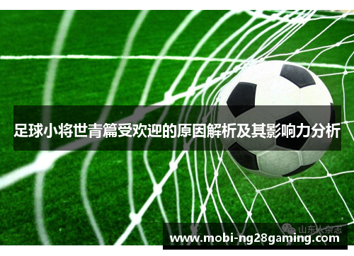 足球小将世青篇受欢迎的原因解析及其影响力分析