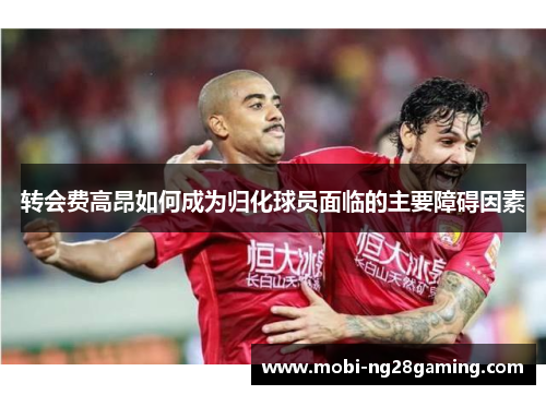 转会费高昂如何成为归化球员面临的主要障碍因素