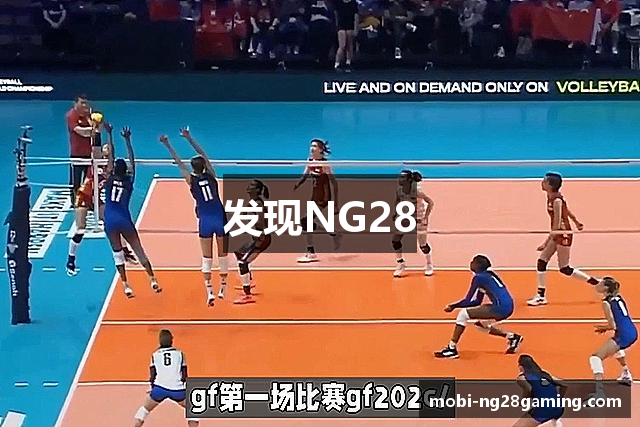 发现NG28
